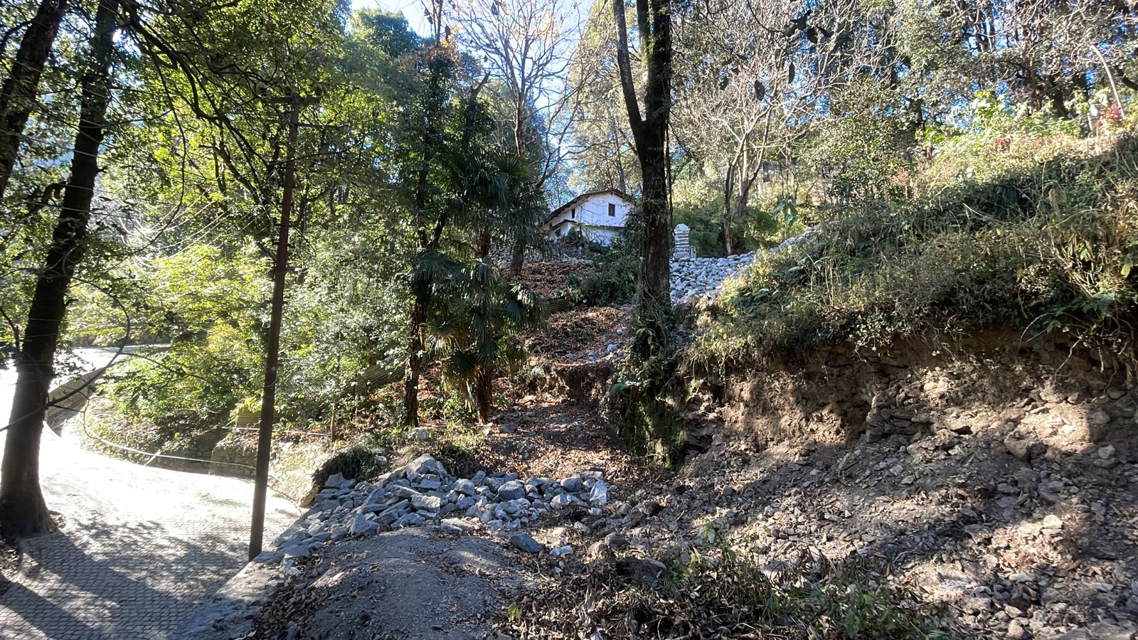 WhatsApp Image 2024 12 16 at 11.14.23