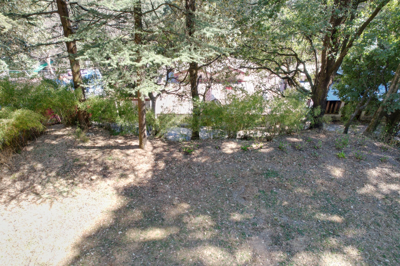 WhatsApp Image 2025 08 07 at 1.22.47 PM (1)